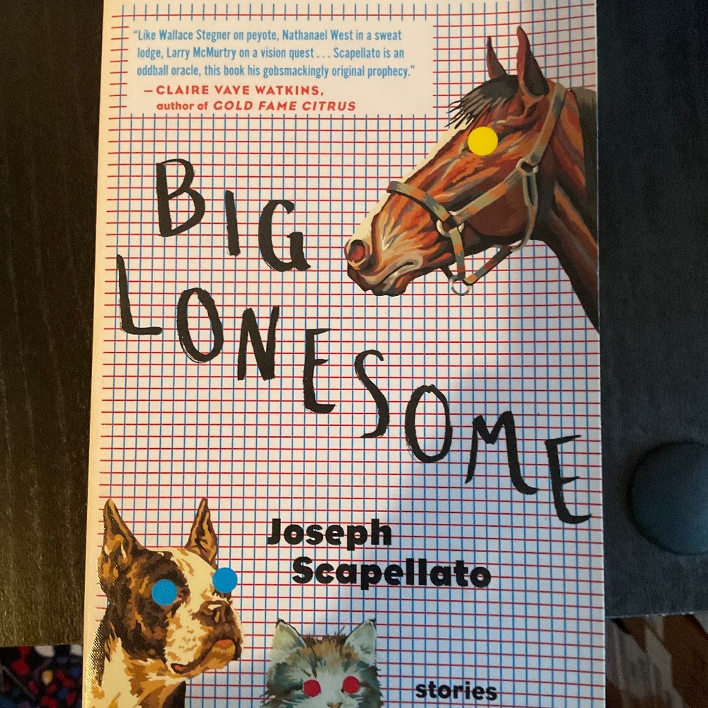 Book - Big Lonesome by Joseph Scaellaro. K93 - Picture 1 of 3